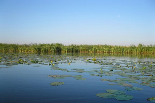 Выбрали 7 белорусских озер, где должен побывать каждый Выбрали 7 белорусских озер, где должен побывать каждый