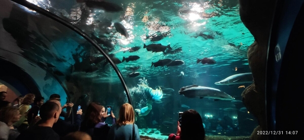 «На всю дорогу — 400 литров топлива». Белорус проехал на кемпере по России и рассказал о впечатлениях «На всю дорогу — 400 литров топлива». Белорус проехал на кемпере по России и рассказал о впечатлениях