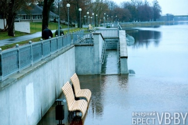 Дождливая зима внесла свои коррективы в гидрологический режим на Брестчине