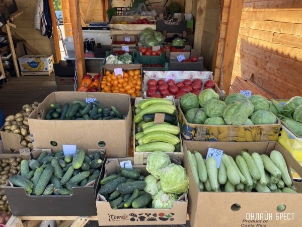 Глава МАРТ объяснил дороговизну белорусских огурцов и назвал способ, как сбить цены Глава МАРТ объяснил дороговизну белорусских огурцов и назвал способ, как сбить цены