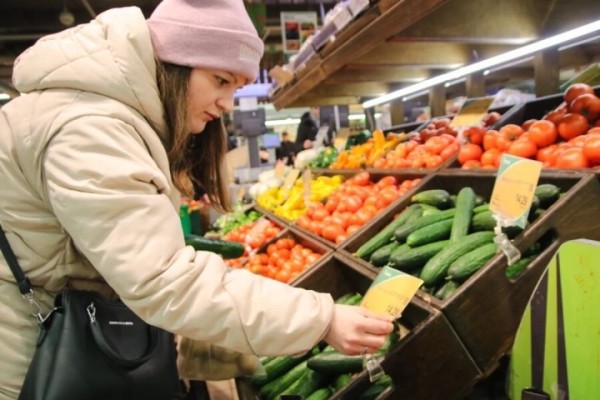 «Сами в шоке!» Почему цены на огурцы этой зимой пугают даже продавцов минских магазинов «Сами в шоке!» Почему цены на огурцы этой зимой пугают даже продавцов минских магазинов