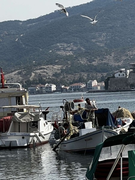 В Турцию через Европу на автомобиле. Белорусы о затратах на топливо и нюансах поездки В Турцию через Европу на автомобиле. Белорусы о затратах на топливо и нюансах поездки