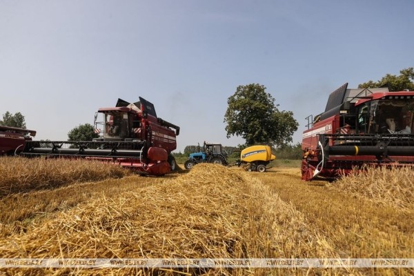 «Стараемся на деле проявлять заботу о людях», или Как в Кобринском районе начали жатву «Стараемся на деле проявлять заботу о людях», или Как в Кобринском районе начали жатву