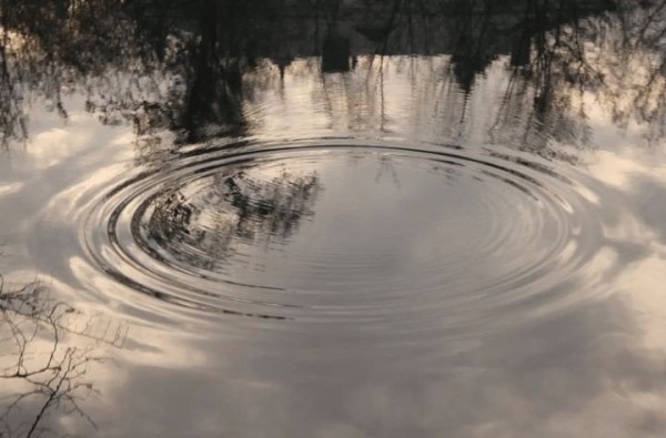 Прыгнул «щучкой» и сломал шею: мужчина умер на глазах у детей