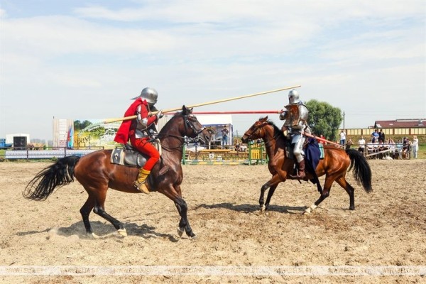 От конефермы к конному парку: в глубинке Полесья восстанавливают национальные породы лошадей От конефермы к конному парку: в глубинке Полесья восстанавливают национальные породы лошадей