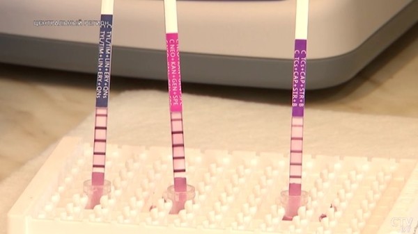 От дойки до прилавка. Вот какой путь проходит молоко, чтобы попасть в магазин От дойки до прилавка. Вот какой путь проходит молоко, чтобы попасть в магазин