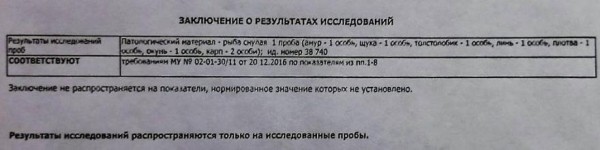 В белорусской деревне из озера достали 3 тонны мертвой рыбы. Что случилось? В белорусской деревне из озера достали 3 тонны мертвой рыбы. Что случилось?