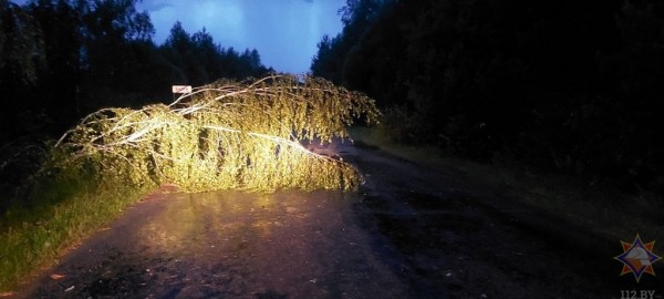 В МЧС рассказали, что натворила непогода в Брестской области В МЧС рассказали, что натворила непогода в Брестской области