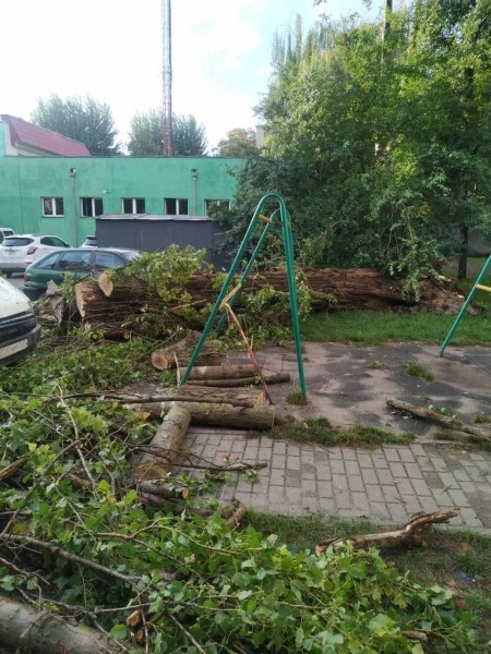 Настоящая стихия прошлась ночью по Бресту Настоящая стихия прошлась ночью по Бресту