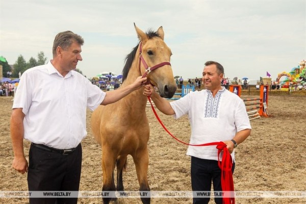 От конефермы к конному парку: в глубинке Полесья восстанавливают национальные породы лошадей От конефермы к конному парку: в глубинке Полесья восстанавливают национальные породы лошадей