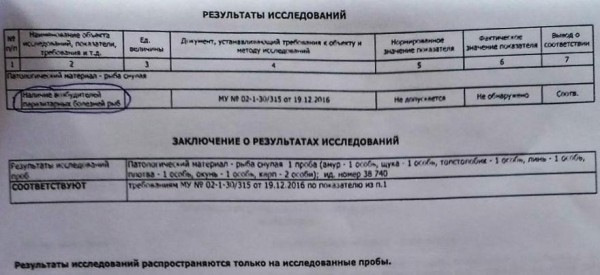 В белорусской деревне из озера достали 3 тонны мертвой рыбы. Что случилось? В белорусской деревне из озера достали 3 тонны мертвой рыбы. Что случилось?
