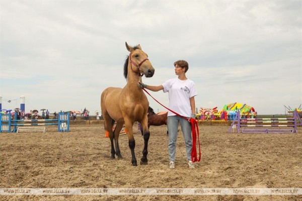 От конефермы к конному парку: в глубинке Полесья восстанавливают национальные породы лошадей От конефермы к конному парку: в глубинке Полесья восстанавливают национальные породы лошадей