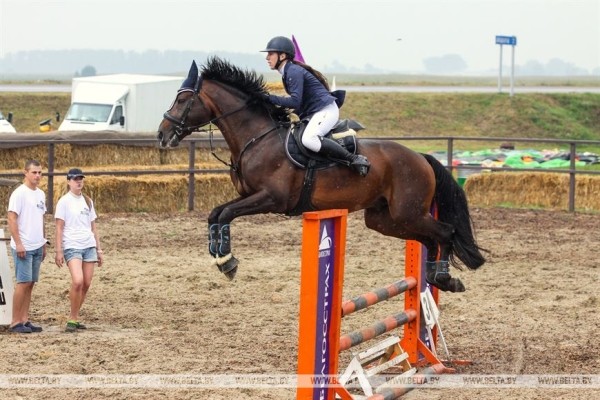 От конефермы к конному парку: в глубинке Полесья восстанавливают национальные породы лошадей От конефермы к конному парку: в глубинке Полесья восстанавливают национальные породы лошадей