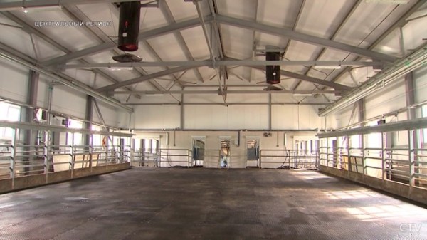 От дойки до прилавка. Вот какой путь проходит молоко, чтобы попасть в магазин От дойки до прилавка. Вот какой путь проходит молоко, чтобы попасть в магазин