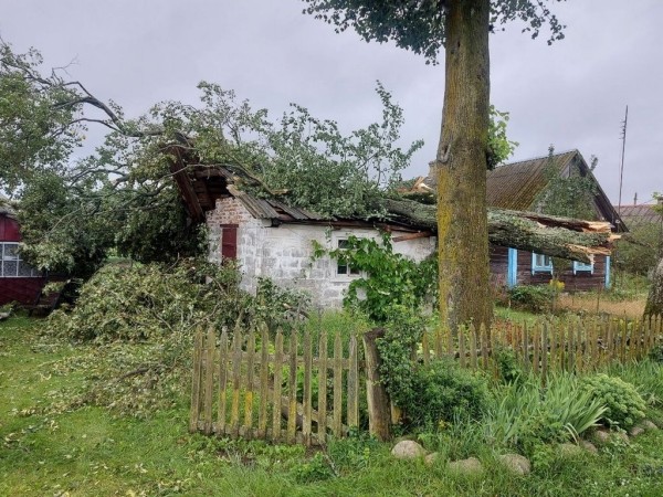 В МЧС рассказали, что натворила непогода в Брестской области В МЧС рассказали, что натворила непогода в Брестской области