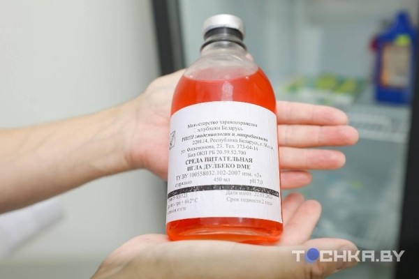 Как белорусы пересаживают волосы Как белорусы пересаживают волосы