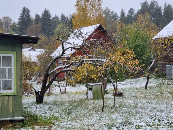 В Беларуси выпал снег В Беларуси выпал снег