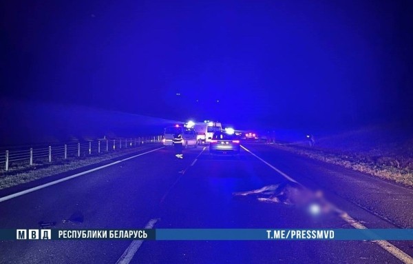 Жуткое ДТП на М1: наезд на дикое животное - погибли водитель и ребенок   Жуткое ДТП на М1: наезд на дикое животное - погибли водитель и ребенок