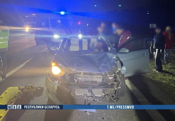 Жуткое ДТП на М1: наезд на дикое животное - погибли водитель и ребенок   Жуткое ДТП на М1: наезд на дикое животное - погибли водитель и ребенок