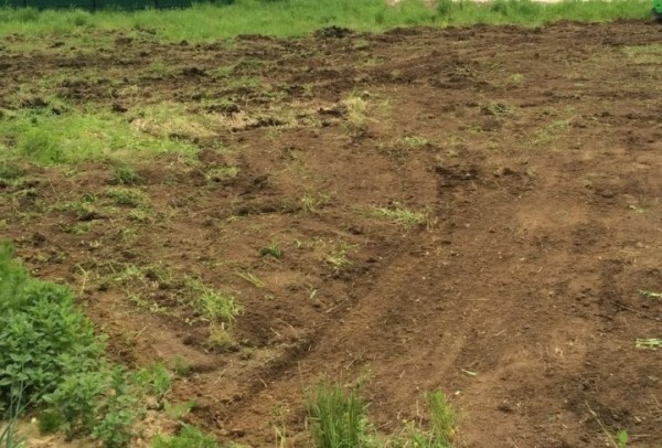 В Бресте участок для застройки по ул. Пастернацкого выкупили за рекордную сумму В Бресте участок для застройки по ул. Пастернацкого выкупили за рекордную сумму