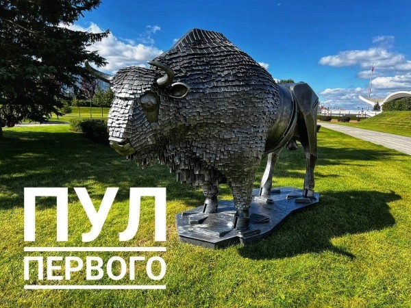 На территории Дворца Независимости появился зубр На территории Дворца Независимости появился зубр