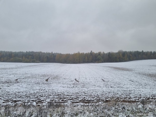 В Беларуси выпал снег В Беларуси выпал снег