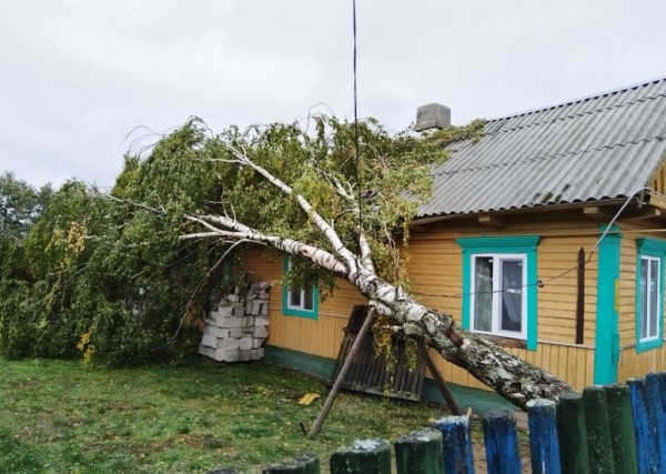 Смотрите, что натворила непогода на Брестчине Смотрите, что натворила непогода на Брестчине