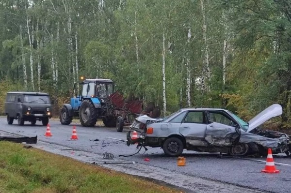 С собственников ТС взыскали 8000 рублей морального вреда в пользу пострадавшего ребенка С собственников ТС взыскали 8000 рублей морального вреда в пользу пострадавшего ребенка