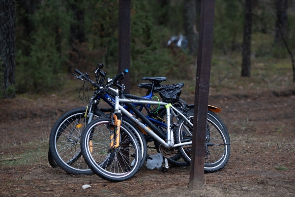 «Ругань здесь обычное дело!» Репортаж с белорусско-литовской границы, где очередь растянулась на неделю
