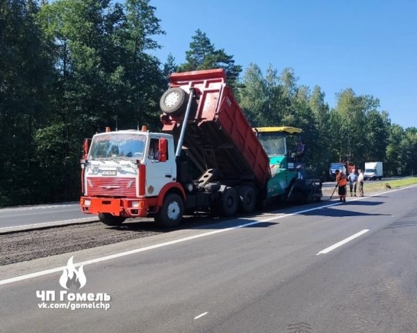 На трассе М6 будет такая же система? В Беларуси тестируют интеллектуальный переход для диких животных На трассе М6 будет такая же система? В Беларуси тестируют интеллектуальный переход для диких животных