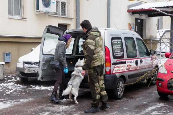 «Жирная тема» или сплошные убытки? Разбираемся, почему в Беларуси почти нет зоотакси «Жирная тема» или сплошные убытки? Разбираемся, почему в Беларуси почти нет зоотакси