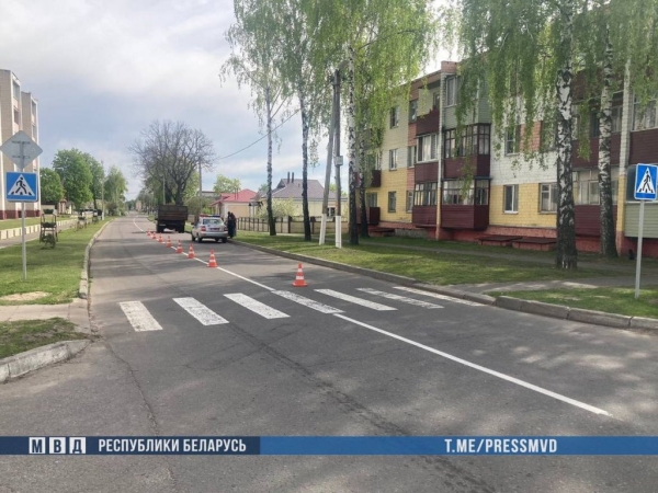 Грузовик насмерть сбил 8-летнюю девочку на Гомельщине Грузовик насмерть сбил 8-летнюю девочку на Гомельщине