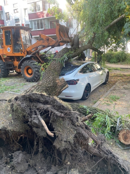 «Сосед разбудил, сказал: выходи». Во дворе дерево рухнуло на Tesla «Сосед разбудил, сказал: выходи». Во дворе дерево рухнуло на Tesla