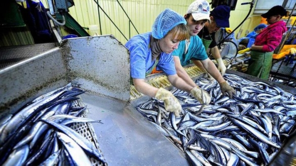 На Брестчине работникам задерживали зарплату за прошлый год На Брестчине работникам задерживали зарплату за прошлый год