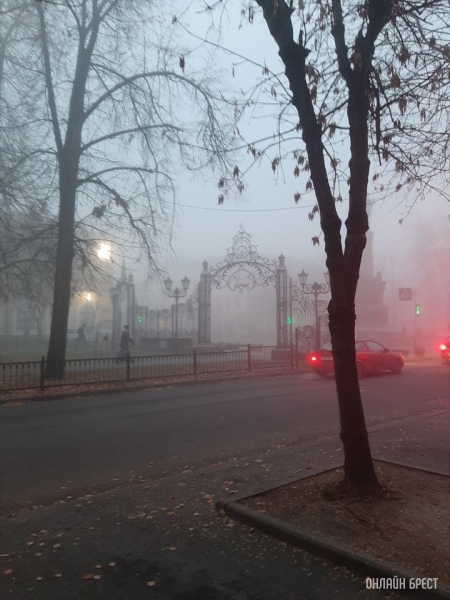 «Оранжевый» уровень опасности объявлен в Бресте из-за туманов «Оранжевый» уровень опасности объявлен в Бресте из-за туманов