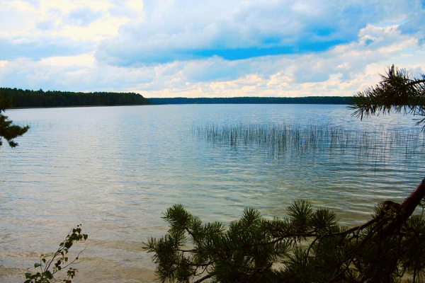 Выбрали 7 белорусских озер, где должен побывать каждый Выбрали 7 белорусских озер, где должен побывать каждый