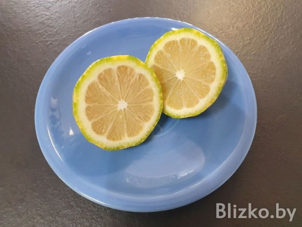 В «Евроопте» появились розовые лимоны В «Евроопте» появились розовые лимоны