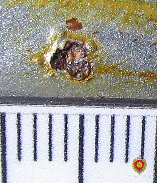 Взяли в салоне новый автомобиль, а на нем «жуки» — как такое возможно? Взяли в салоне новый автомобиль, а на нем «жуки» — как такое возможно?