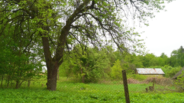 «Первое время спала в обнимку с кочергой». Белоруска сберегла столетний семейный дом — и не жалеет «Первое время спала в обнимку с кочергой». Белоруска сберегла столетний семейный дом — и не жалеет