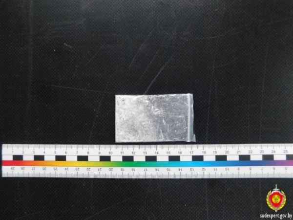 «Вписка» в Могилеве закончилась уголовным делом благодаря бдительным соседям «Вписка» в Могилеве закончилась уголовным делом благодаря бдительным соседям