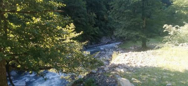 «Вдоль дороги — венки и памятники». Белорус в одиночку отправился в горы Грузии, где даже страховка не действует «Вдоль дороги — венки и памятники». Белорус в одиночку отправился в горы Грузии, где даже страховка не действует