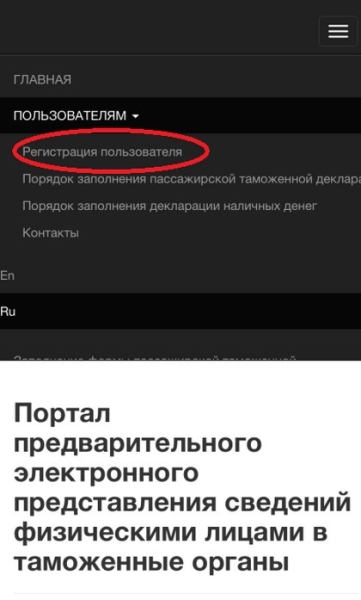 Как физическим лицам ускорить прохождение границы. Вот способ Как физическим лицам ускорить прохождение границы. Вот способ