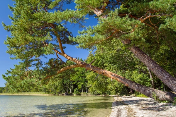 Выбрали 7 белорусских озер, где должен побывать каждый Выбрали 7 белорусских озер, где должен побывать каждый