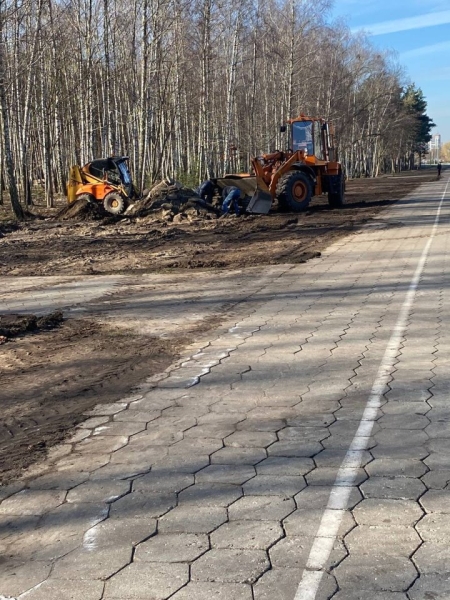 В одном из парков в Бресте установили скворечники, изготовленные школьниками города В одном из парков в Бресте установили скворечники, изготовленные школьниками города