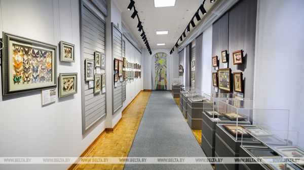 «Порхающие цветы». Выставку бабочек презентовали в Бресте «Порхающие цветы». Выставку бабочек презентовали в Бресте