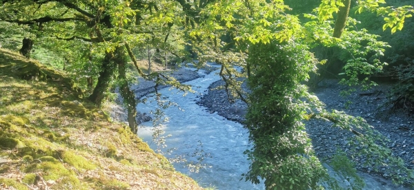 «Вдоль дороги — венки и памятники». Белорус в одиночку отправился в горы Грузии, где даже страховка не действует «Вдоль дороги — венки и памятники». Белорус в одиночку отправился в горы Грузии, где даже страховка не действует