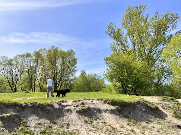 ГИГАНТСКИЕ СОБАКИ. Сколько денег уходит на содержание двух 60-килограммовых собак в панельной трёшке в Бресте? ГИГАНТСКИЕ СОБАКИ. Сколько денег уходит на содержание двух 60-килограммовых собак в панельной трёшке в Бресте?