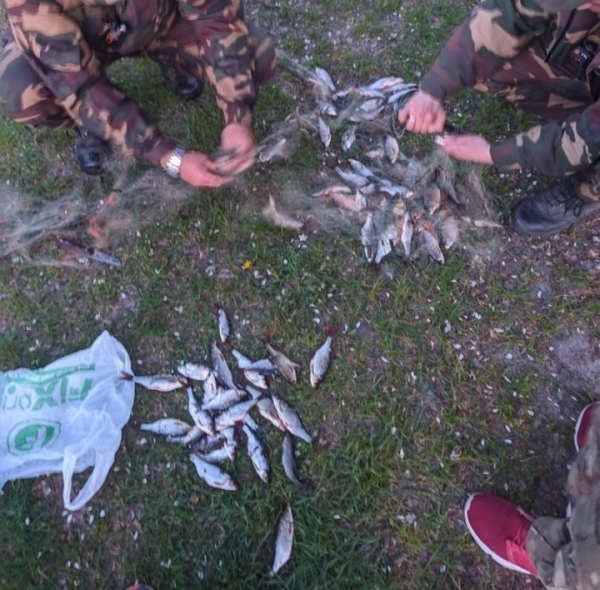 В Брестской области на Погостском озере задержан браконьер В Брестской области на Погостском озере задержан браконьер