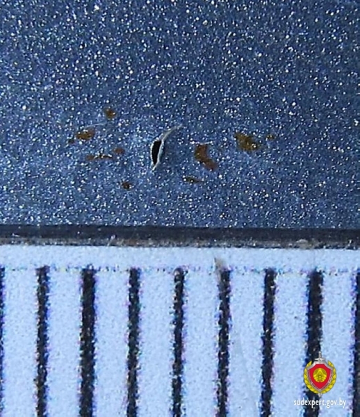 Взяли в салоне новый автомобиль, а на нем «жуки» — как такое возможно? Взяли в салоне новый автомобиль, а на нем «жуки» — как такое возможно?