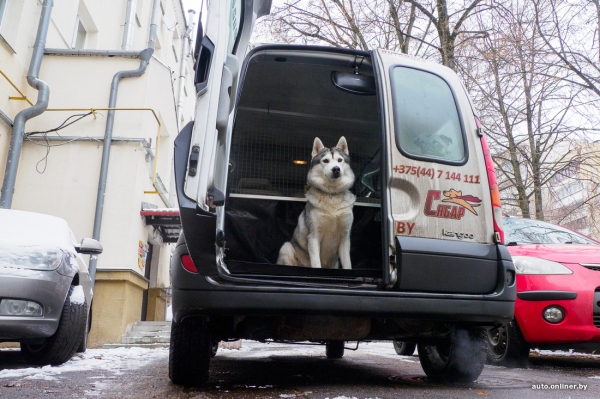«Жирная тема» или сплошные убытки? Разбираемся, почему в Беларуси почти нет зоотакси «Жирная тема» или сплошные убытки? Разбираемся, почему в Беларуси почти нет зоотакси